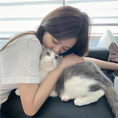 治愈队西游记